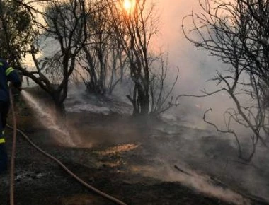 Υπό έλεγχο η φωτιά στον Άγιο Στέφανο Αττικής